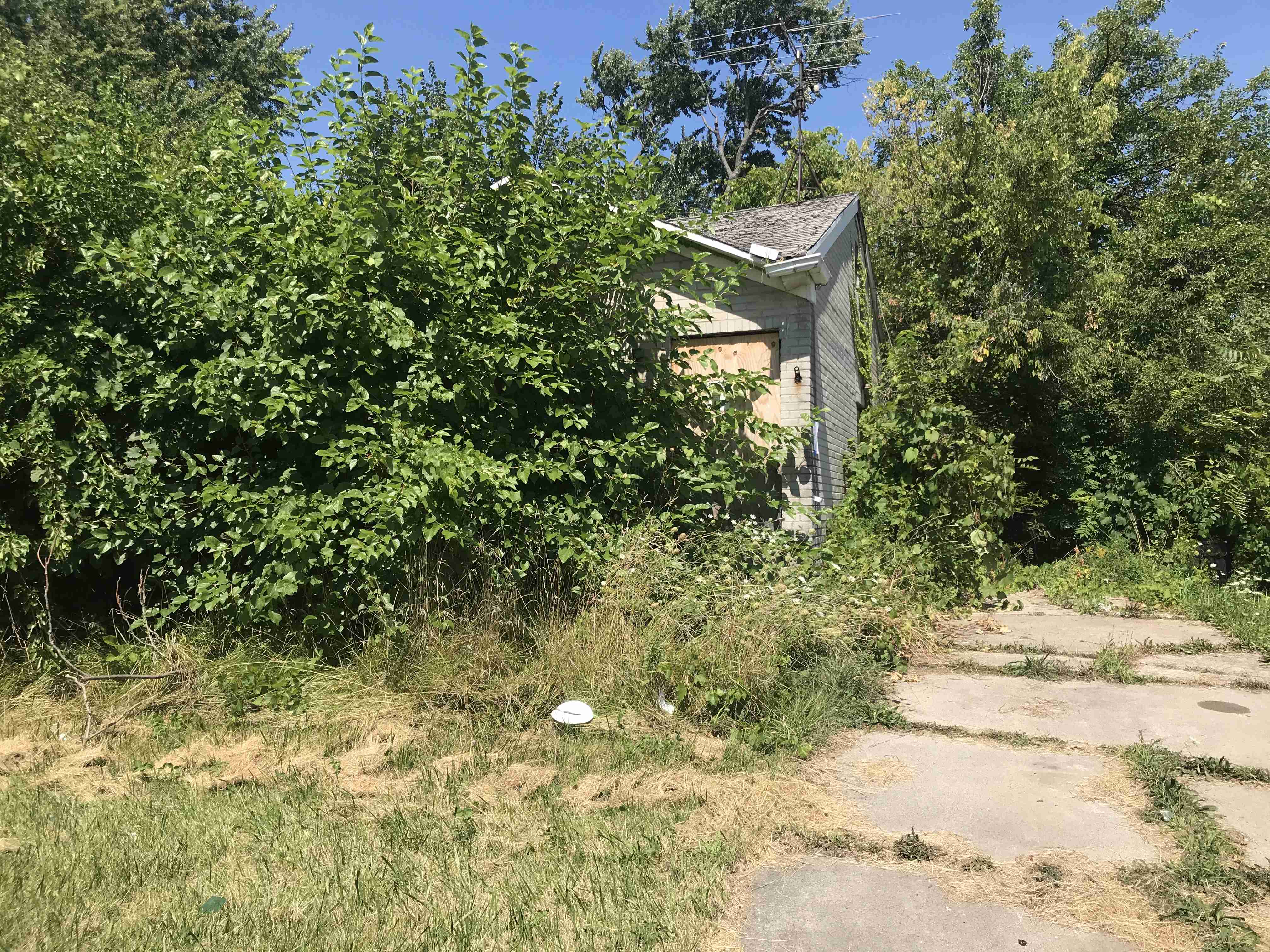 Photo Aug 21, 1 25 20 PM.jpg